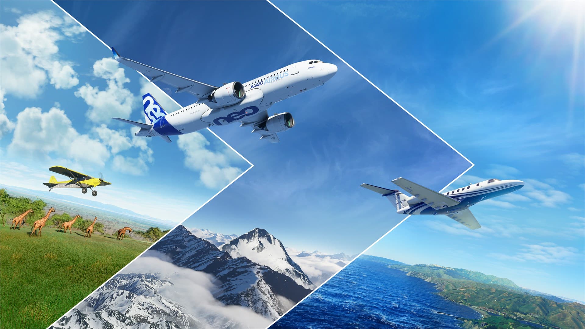 Microsoft Flight Simulator Account